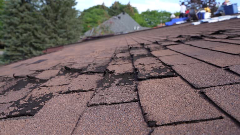 Best Roof Moss and Algae Removal  in Anderson, SC